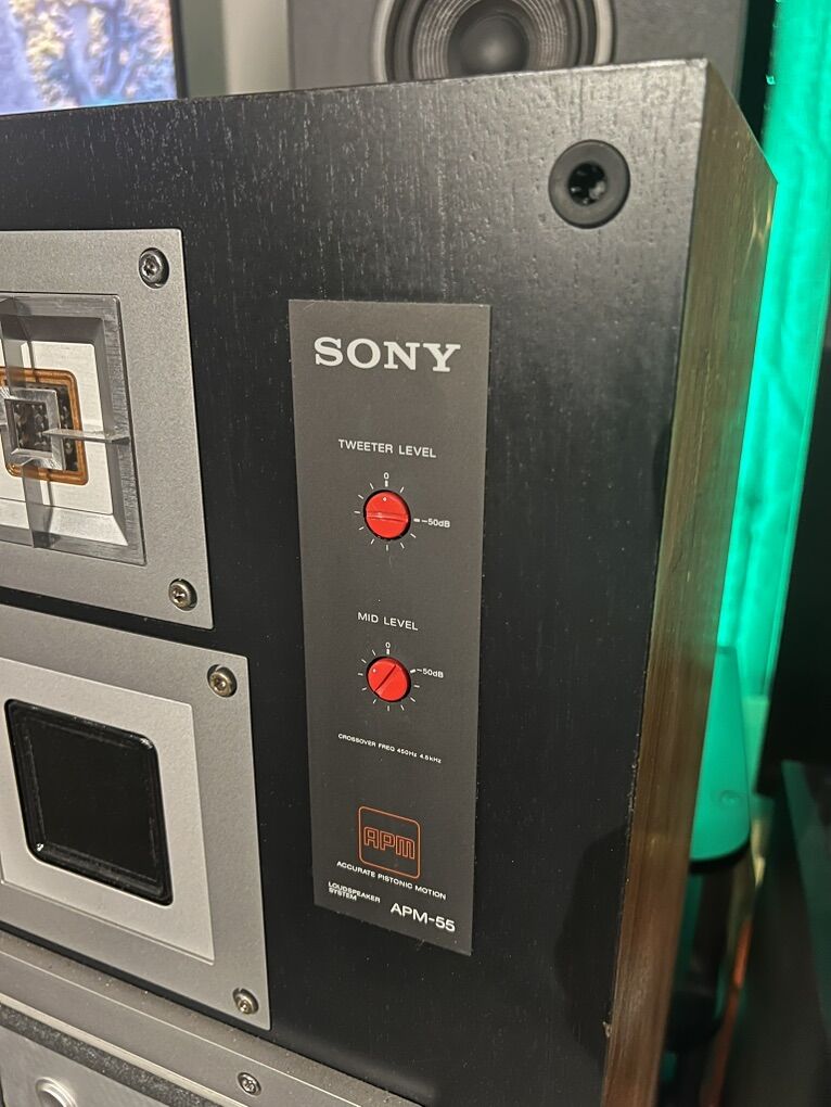 Sony APM 55 Speakers