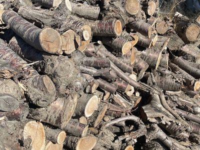 Fruit wood fire wood