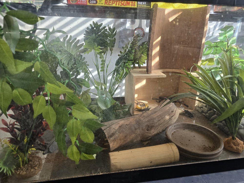 Reptile Home/Terrarium