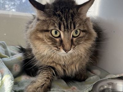 Hello my name is Carmela