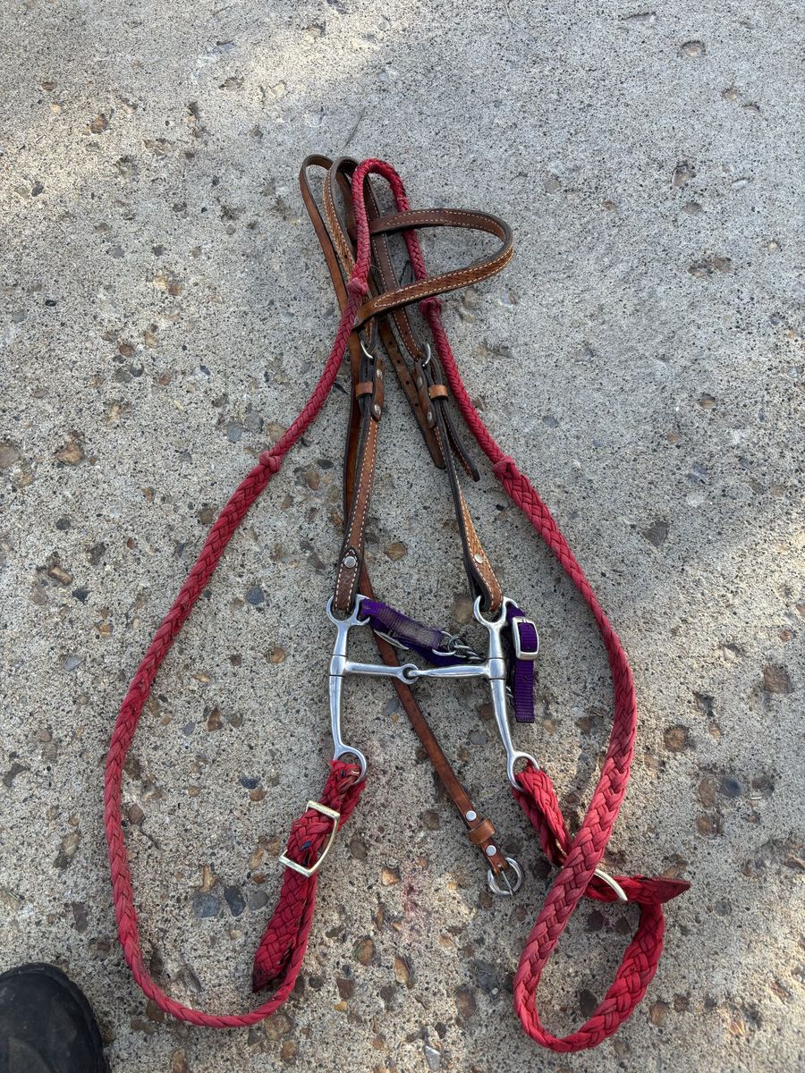 Bridle