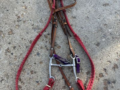 Bridle