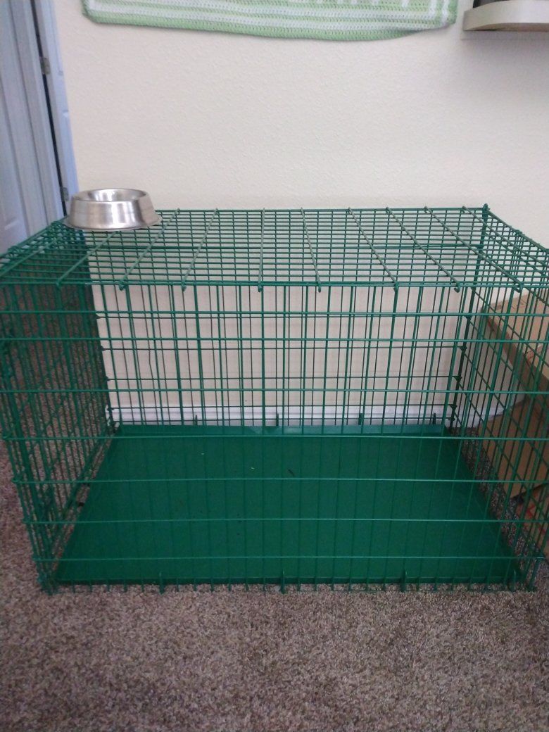 Large dog kennel.