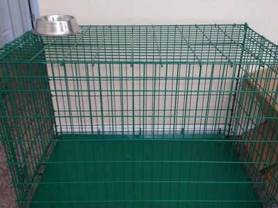 Large dog kennel.