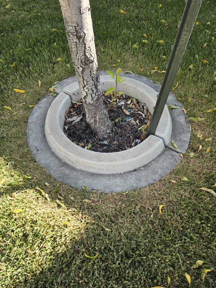 small Concrete Tree Rings for Landscape Edging & Tree Protection, Set of 3