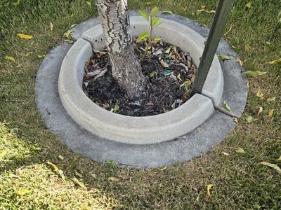 small Concrete Tree Rings for Landscape Edging & Tree Protection, Set of 3