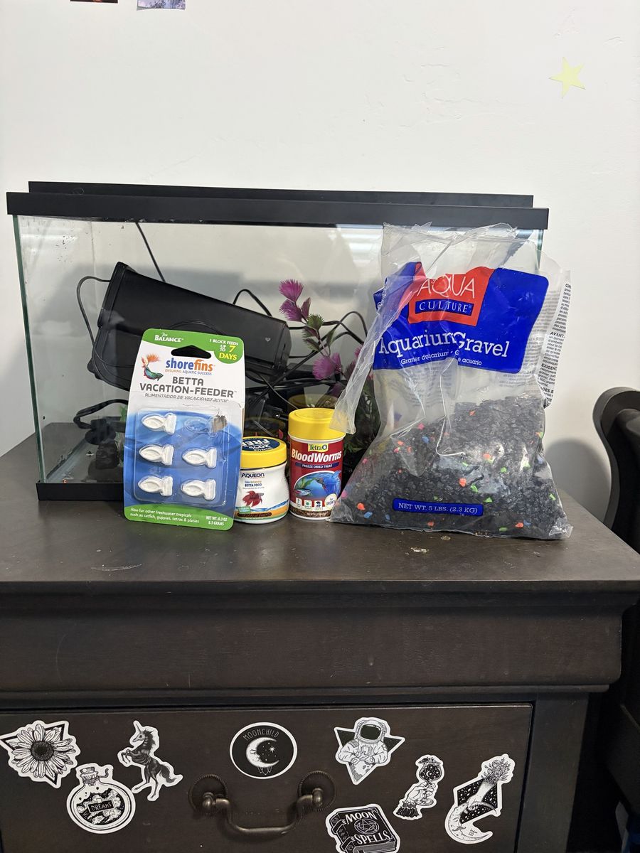 5 Gallon Starter Fish Tank