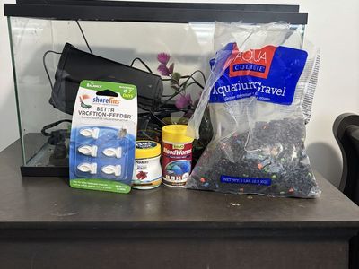 5 Gallon Starter Fish Tank