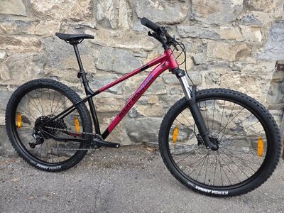 Rocky Mountain Growler 20 Large *NEW*