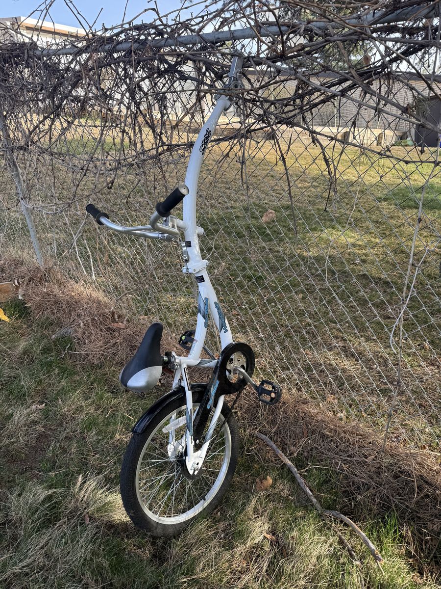 WeeRide Tag-Along Bike