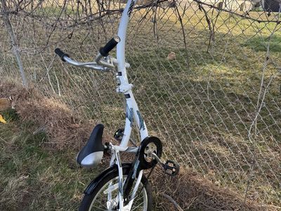 WeeRide Tag-Along Bike