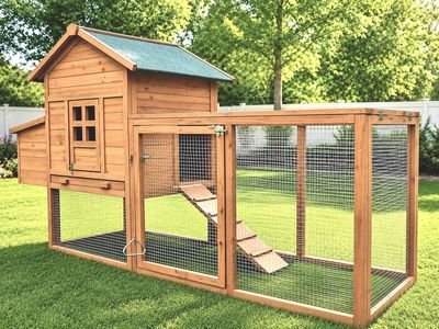 Chicken Coop / Small Animal Hutch — Brand New