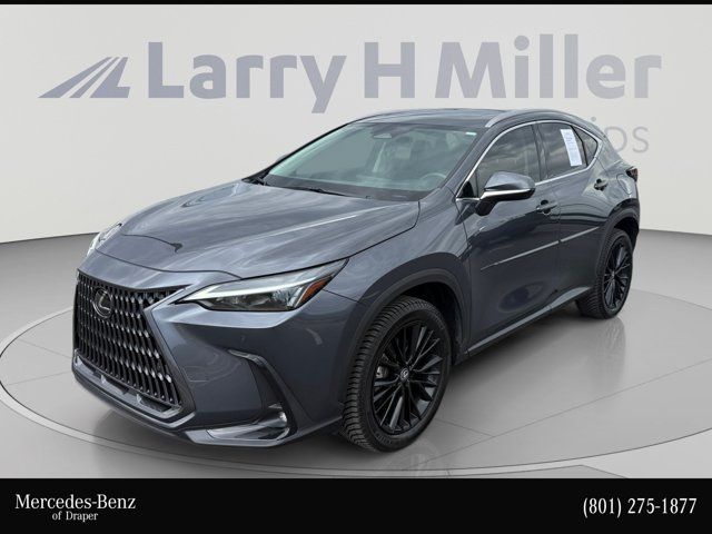 2023 Lexus NX 350h Premium