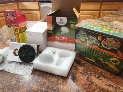 Reptile items