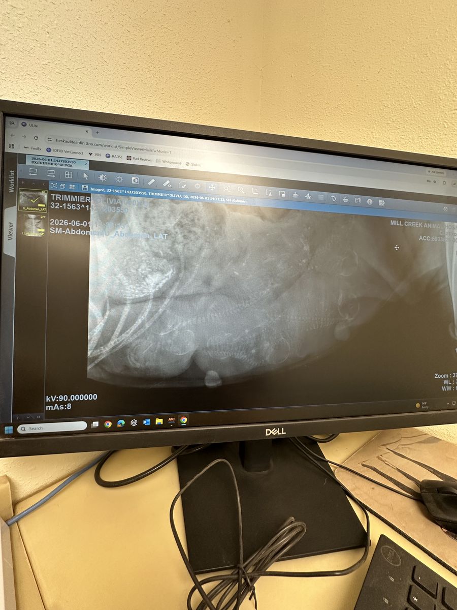 Main image 6