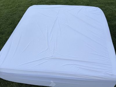 Free King Mattress with Cover