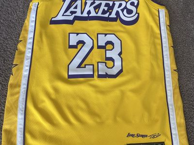 Nike LeBron James Los Angeles Lakers #23 Yellow NBA Jersey Size 44/M
