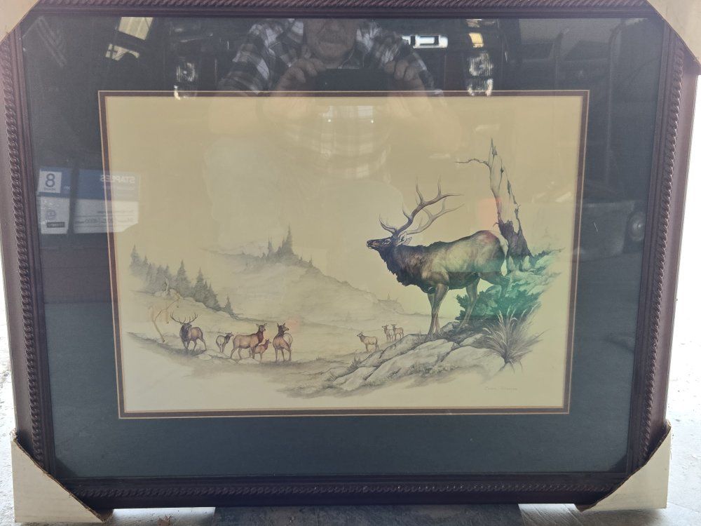 Framed Elk Wildlife Art Print with Dark Wood Rope Design Frame