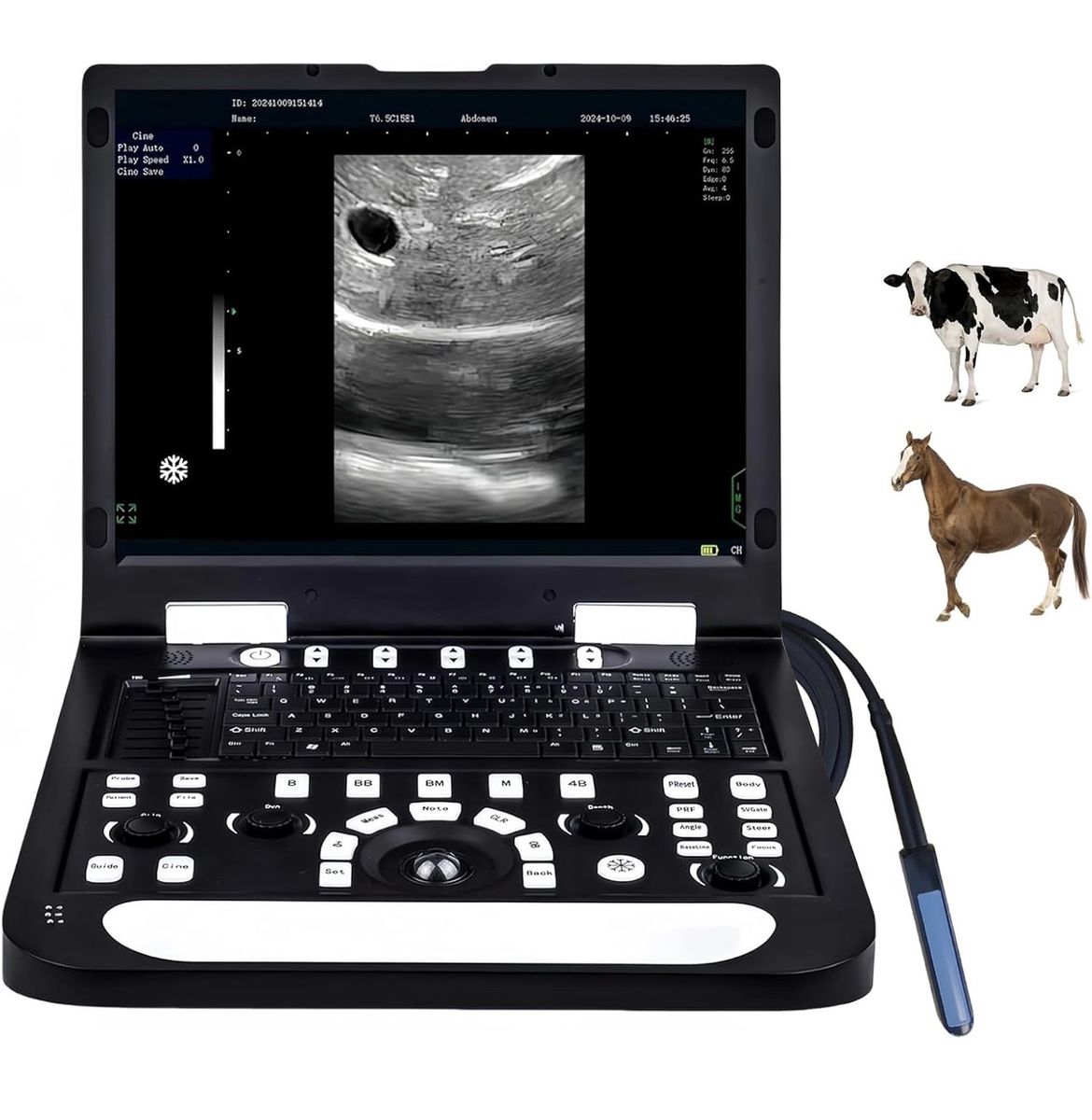 N60 Vet Ultrasound