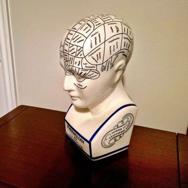 L.N. Fowler Phrenology Head Bust - Ceramic Craniology Statue