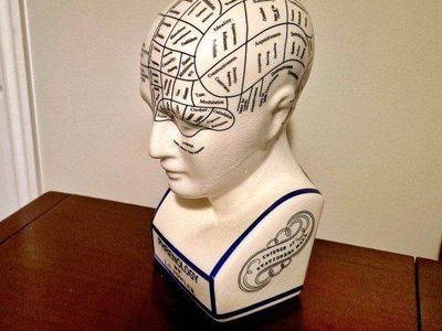 L.N. Fowler Phrenology Head Bust - Ceramic Craniology Statue