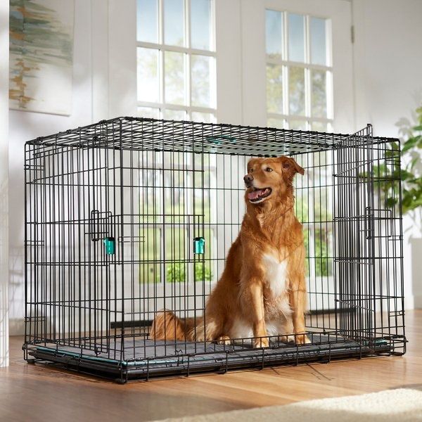 Like new dog crate xxl kennel huge unit 48”