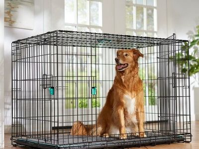 Like new dog crate xxl kennel huge unit 48”
