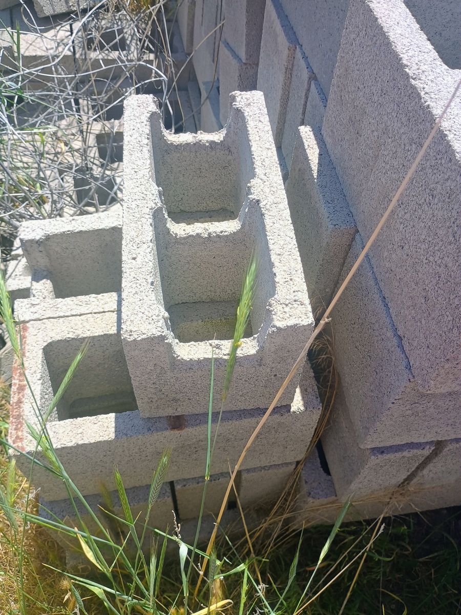 Main image 12