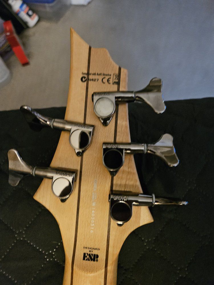 Main image 5