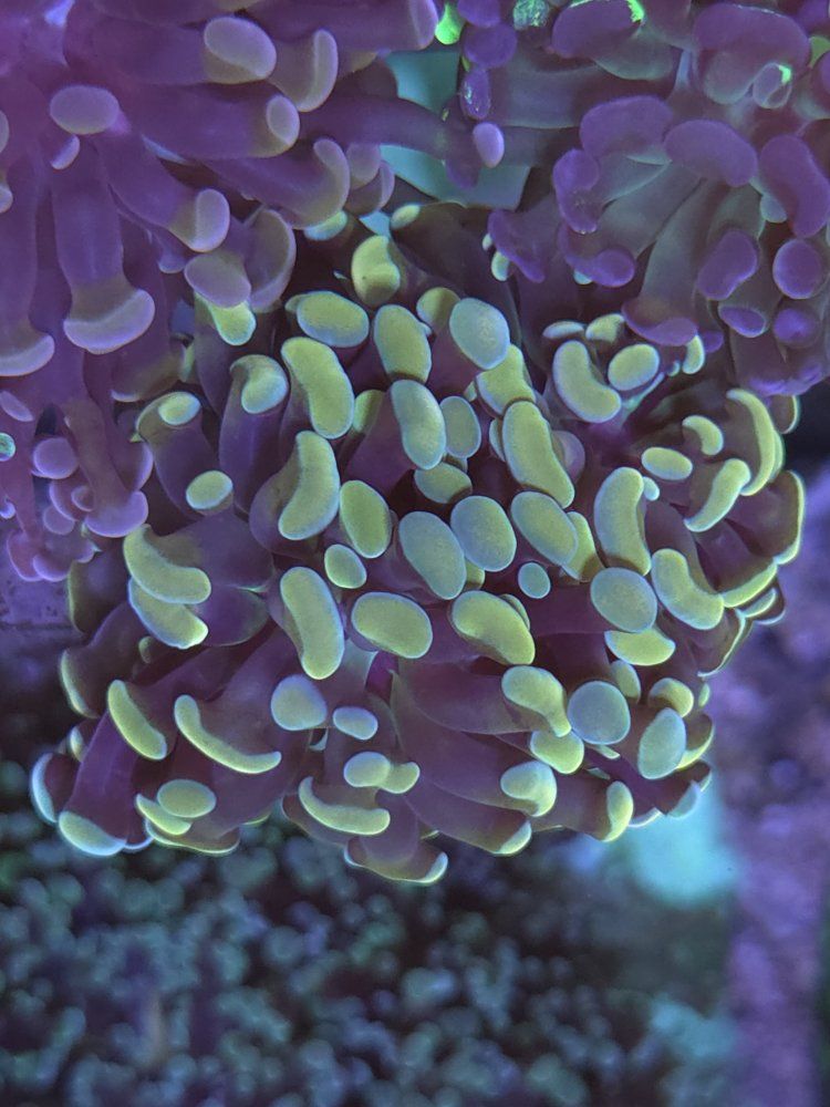 Main image 6