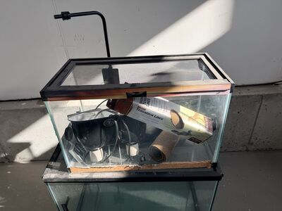 10 & 20 Gallon Terrariums