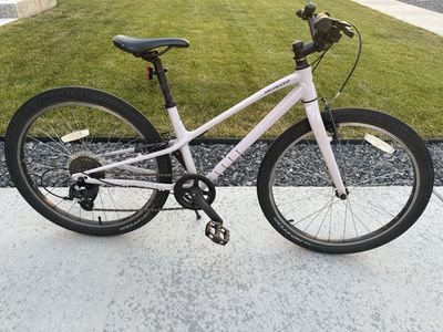 Specialized Jett 20" Kids Bike - Light Purple,Lightweight, Pathfinder Tires