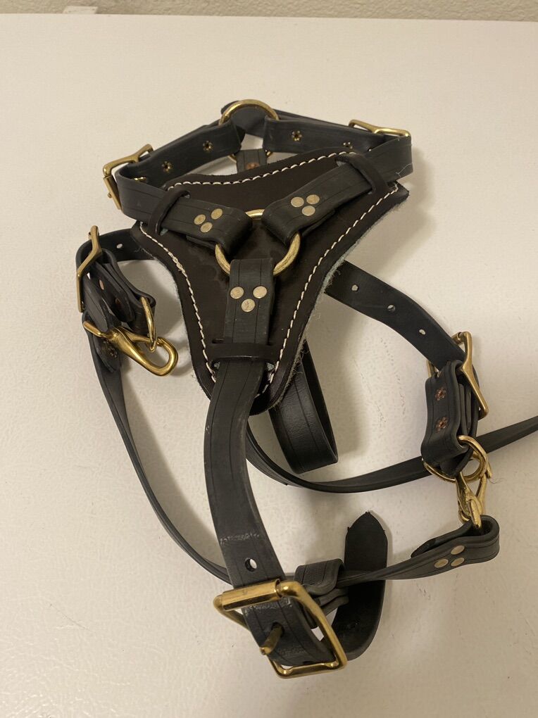 Schutzhund Sport Leather Dog Harness And Leash