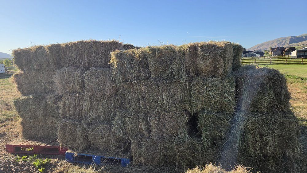 1st cut hay small bales $5