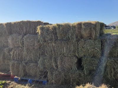 1st cut hay small bales $5