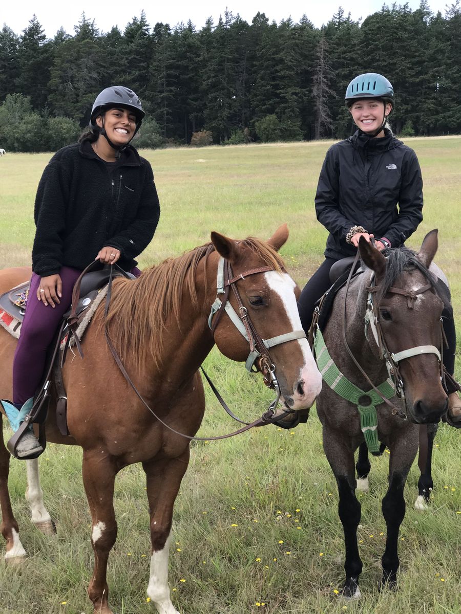 In Search of Horse-Related Job