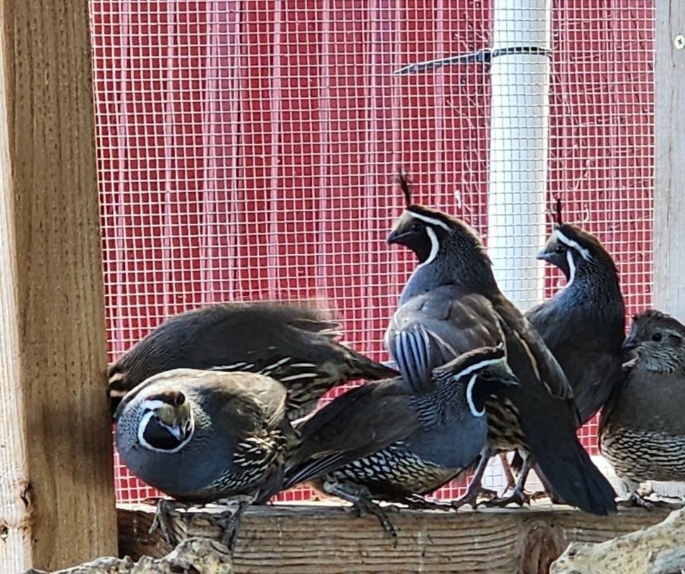 Main image 4