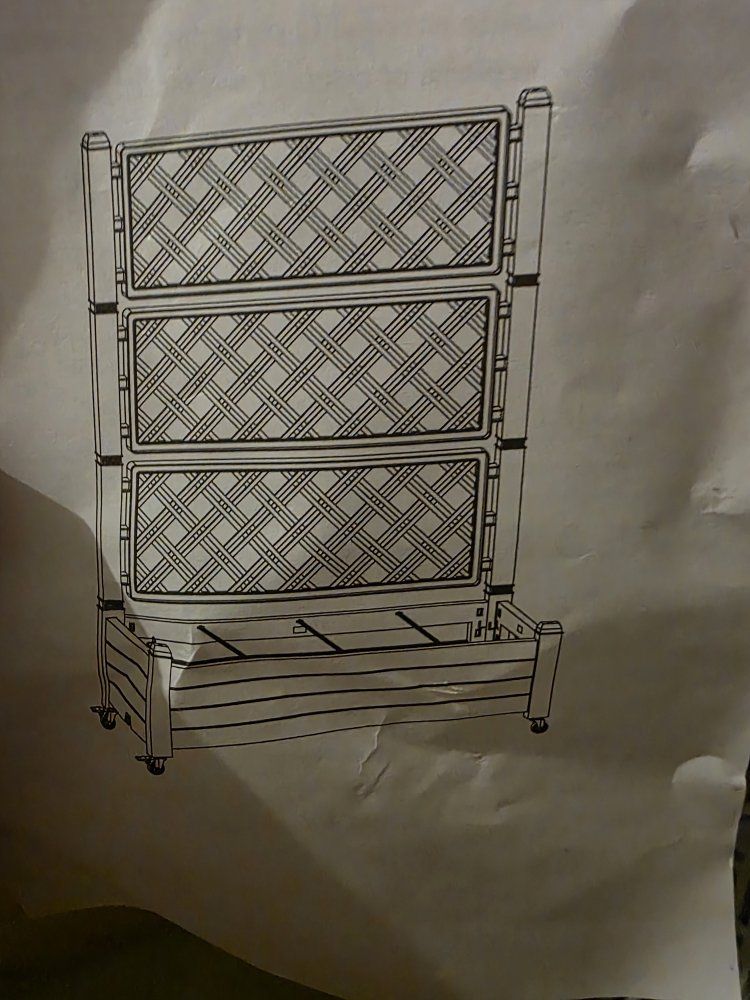 Main image 4