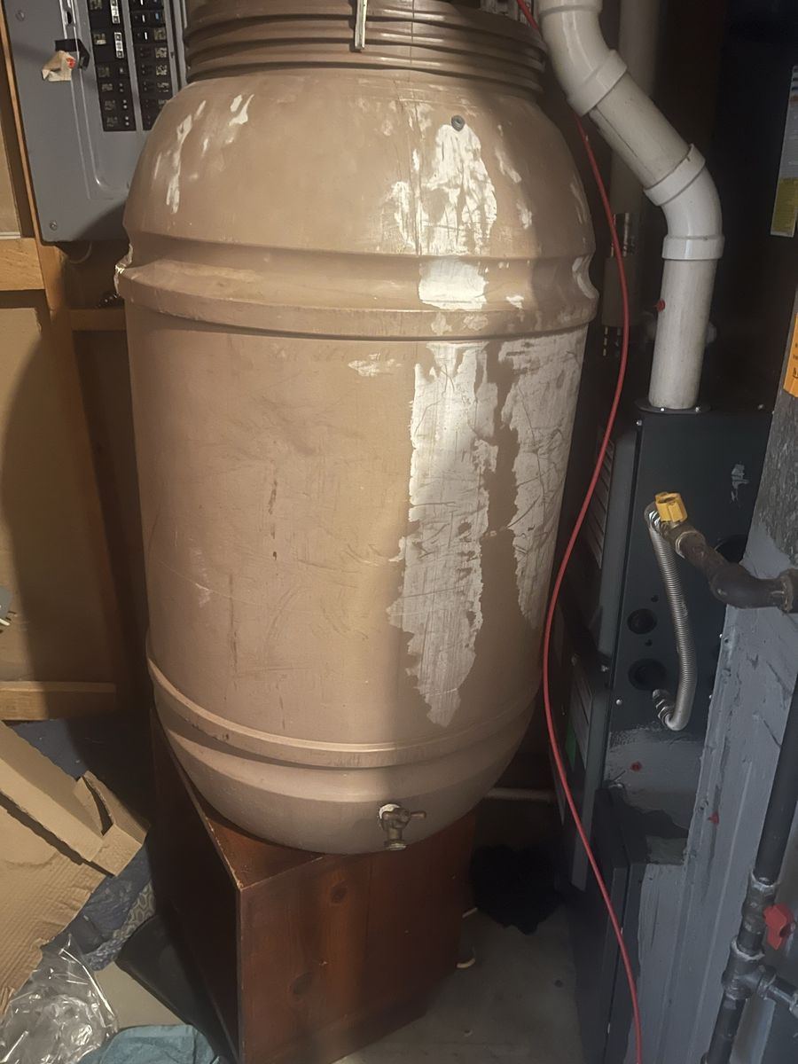 Main image 3