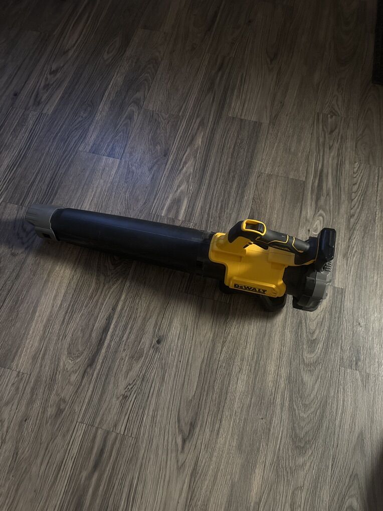 Dewalt BlowEr