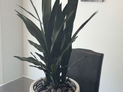 New - Faux Snake Plants In A Ceramic Vase