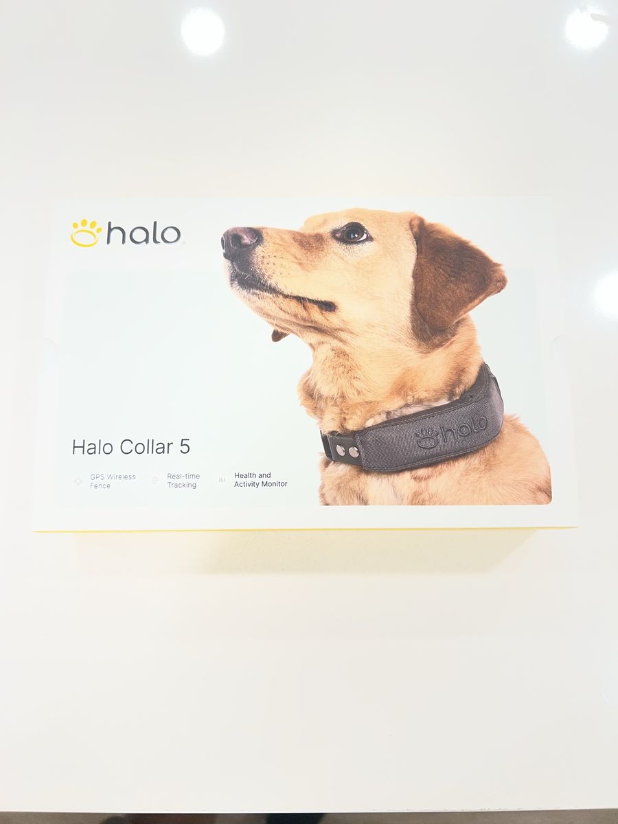 Halo Collar 5