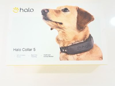 Halo Collar 5