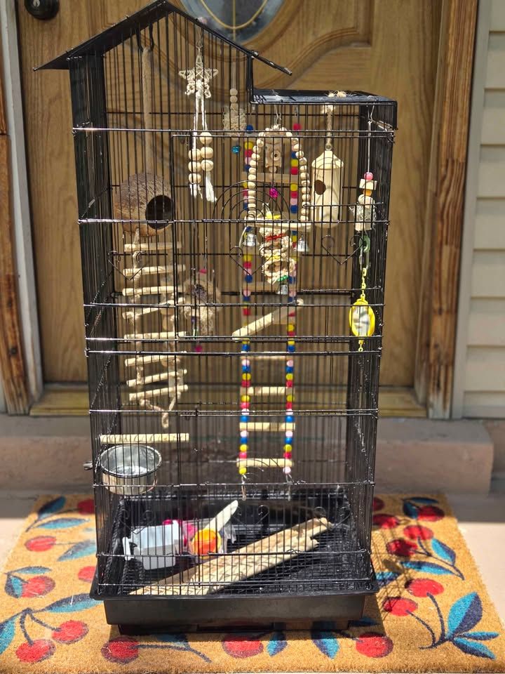 Large Black Bird Cage with Toys. 39" h x 18" w x 13" d
