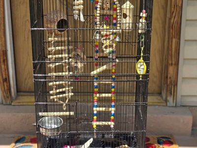 Large Black Bird Cage with Toys. 39" h x 18" w x 13" d