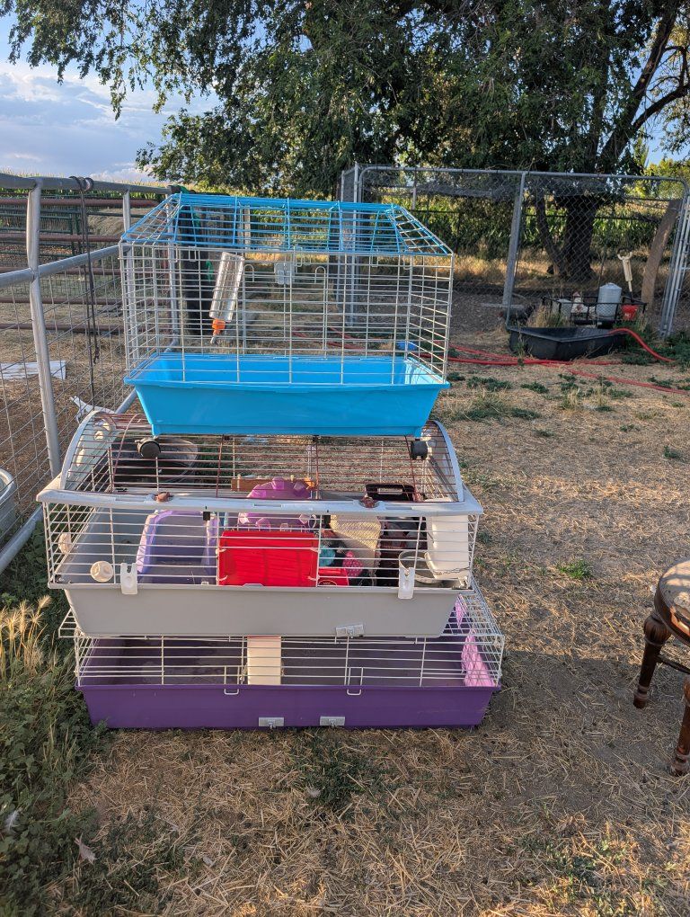 Used Small Animal Cages - Stackable, Multi-Tier Design (3 Cages)