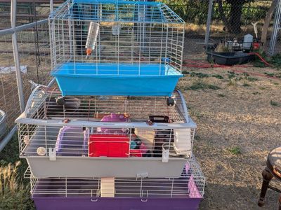 Used Small Animal Cages - Stackable, Multi-Tier Design (3 Cages)