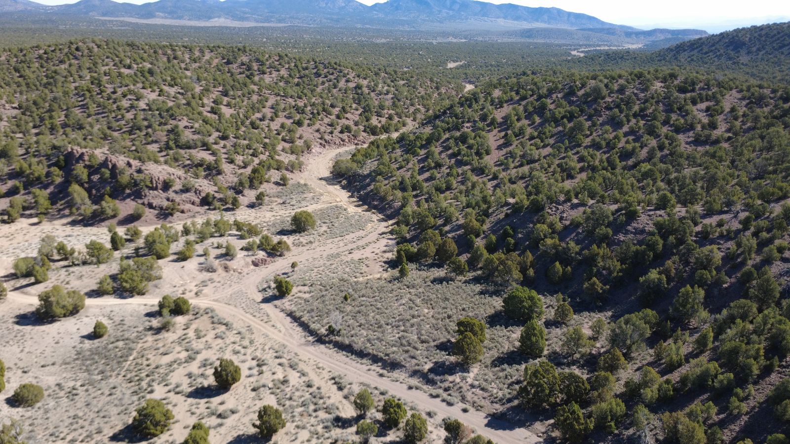 LAND FOR SALE AT AUCTION - IRON COUNTY (C-27332)