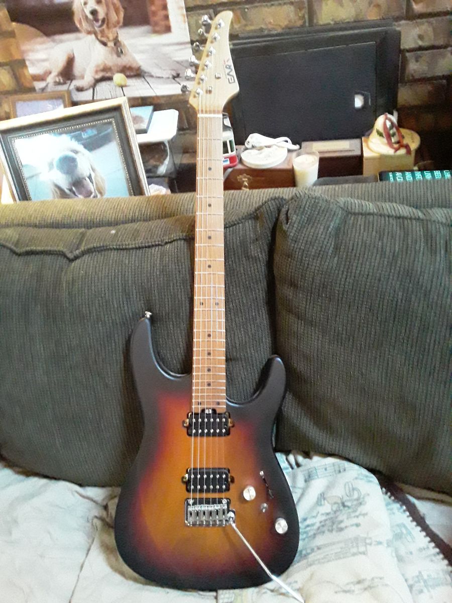 EART Guitars NEW