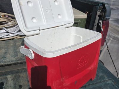 igloo cooler